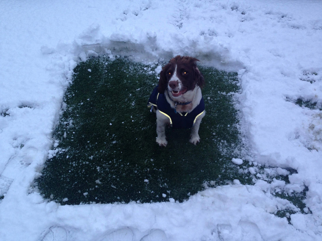 Why Artificial Grass is the Perfect Winter Solution